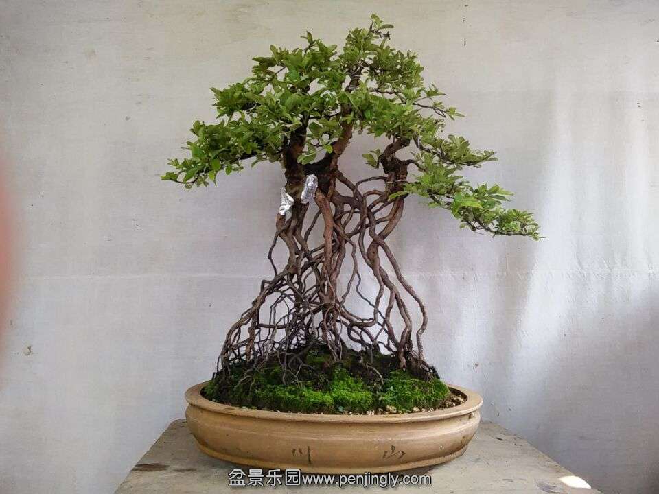 QQͼƬ20150526130053.jpg