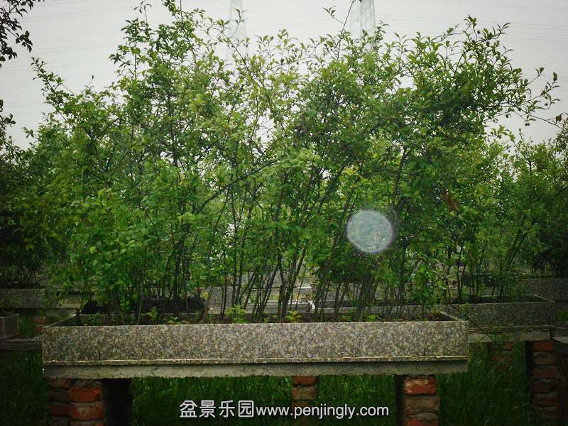 DSCN1857_.jpg