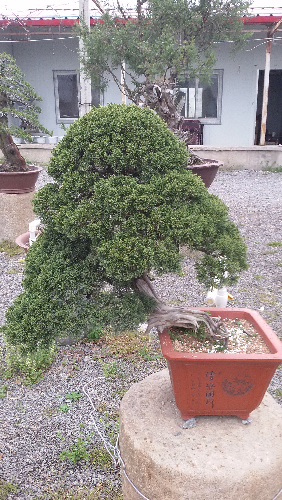 20150326_163506.jpg