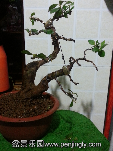 20150530_202728.jpg