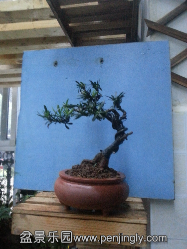 20150602_180159.jpg