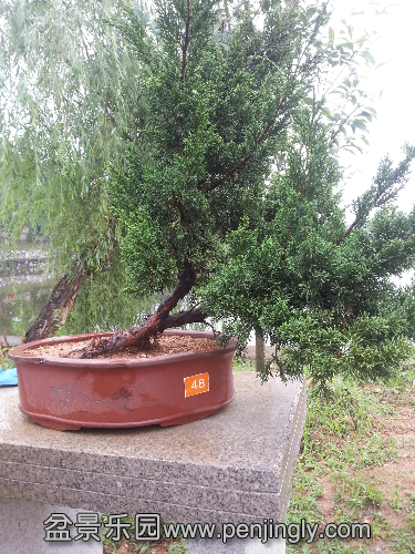 20150526_082514.jpg