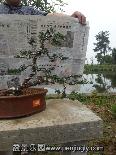 20150526_101907.jpg