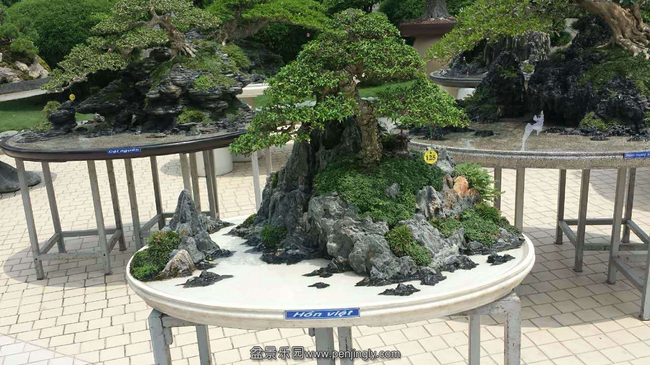 mmexport1433413219967.jpg