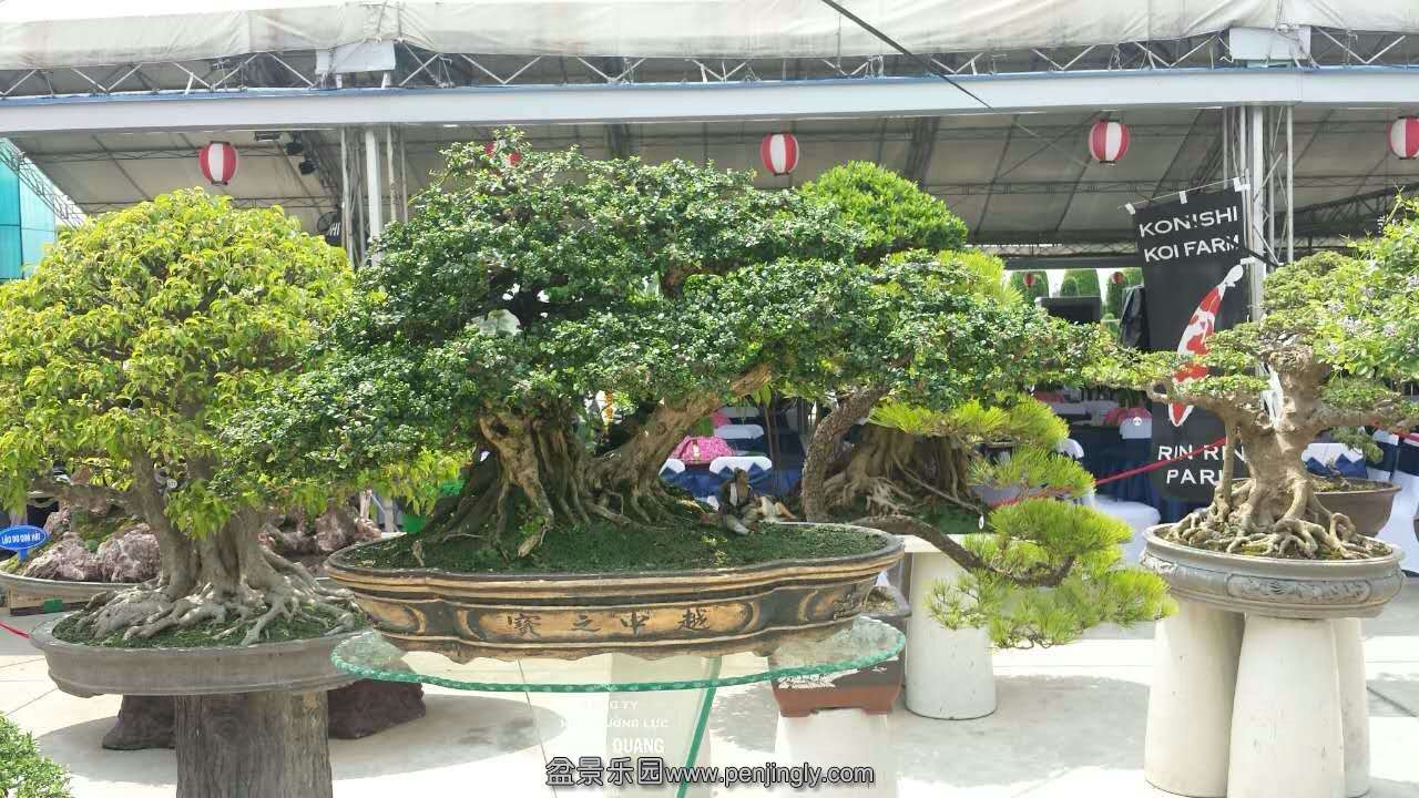 mmexport1433413219517.jpg