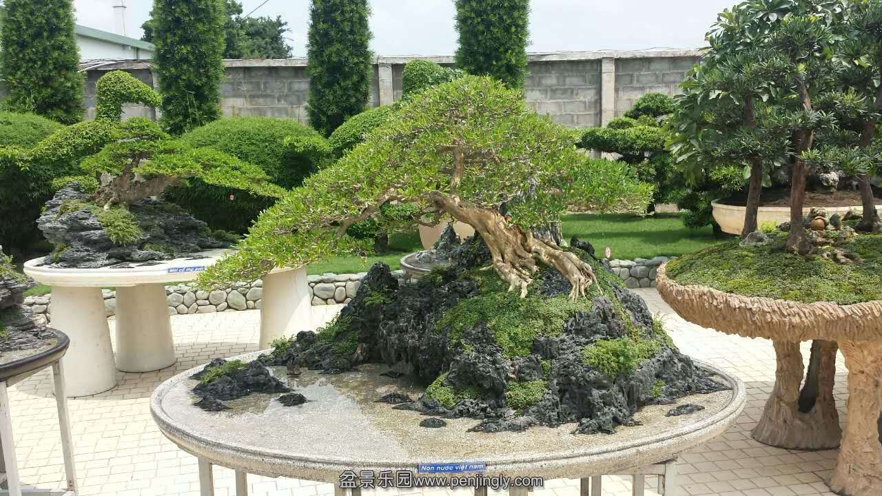 mmexport1433413220409.jpg