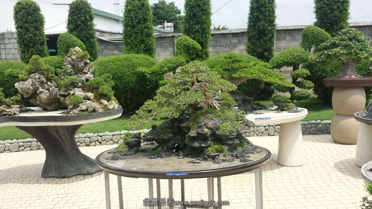 mmexport1433413223560.jpg