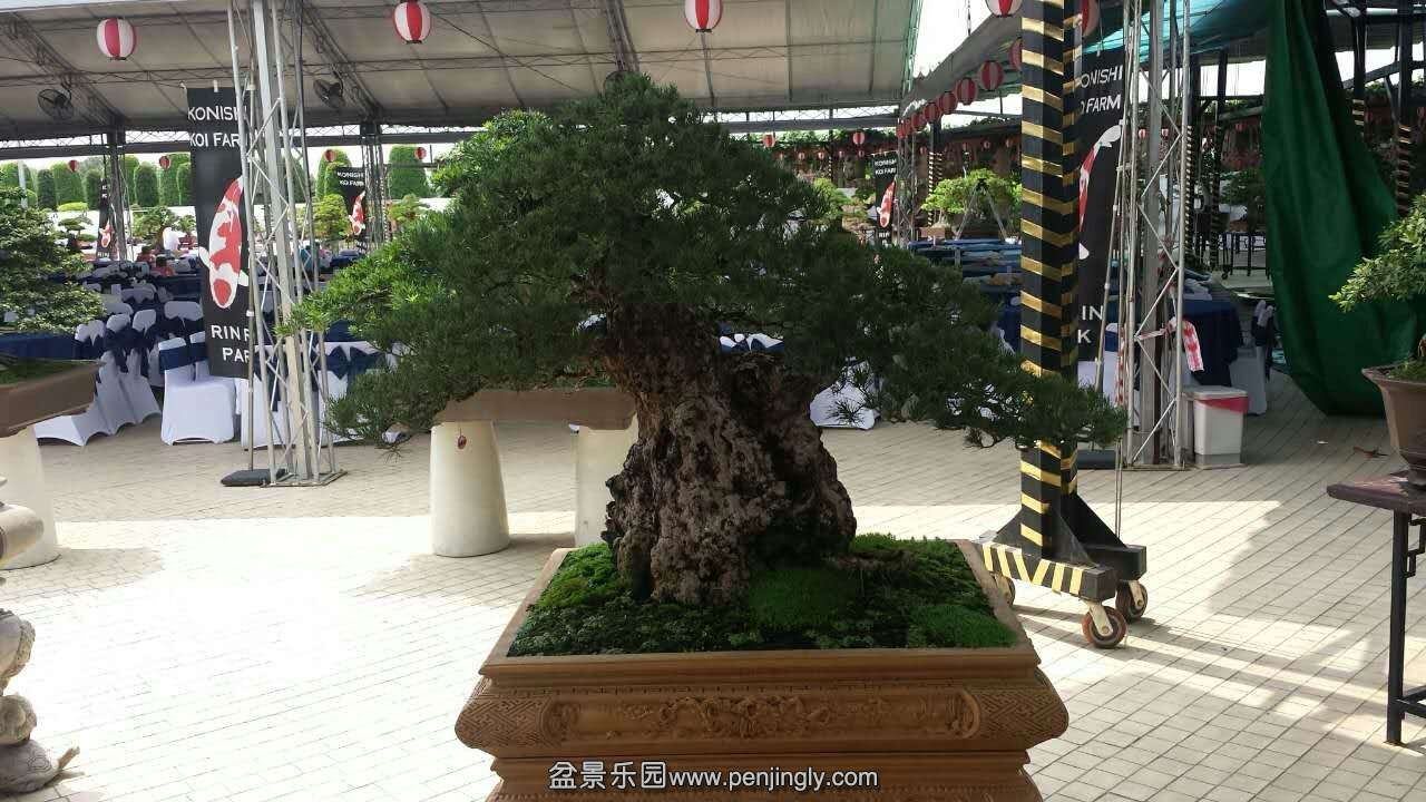 mmexport1433413225695.jpg