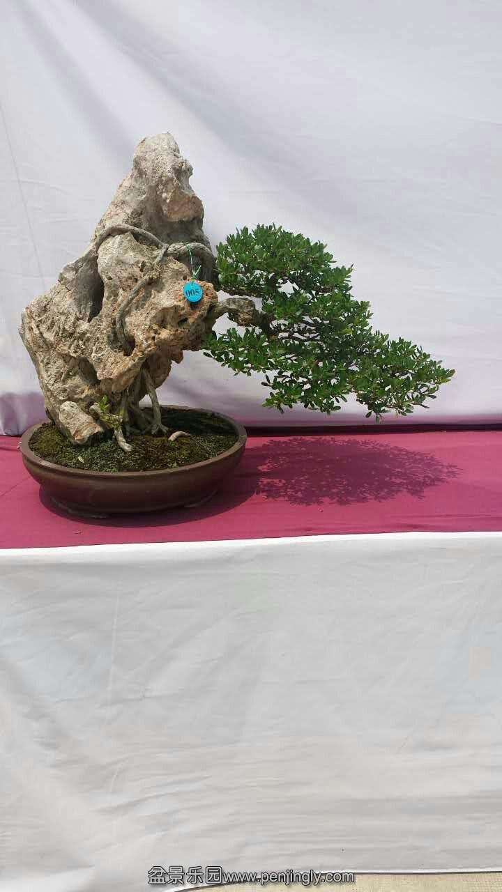 mmexport1433413210298.jpg