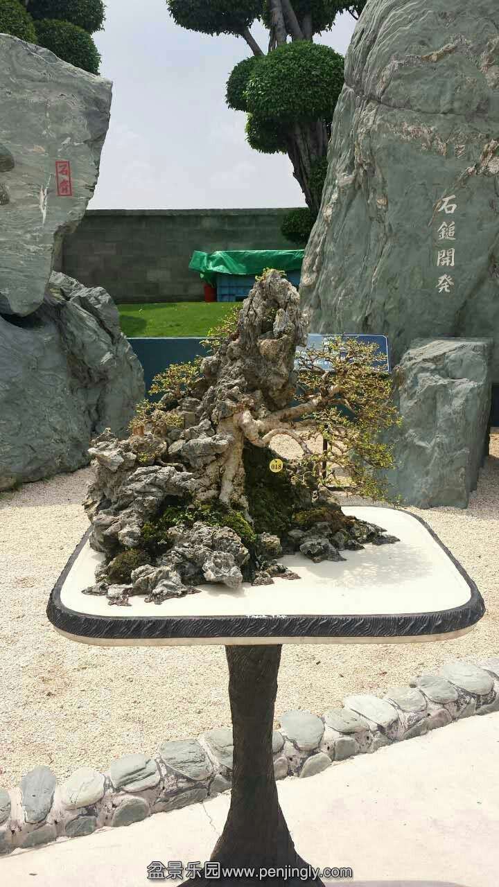 mmexport1433413216788.jpg