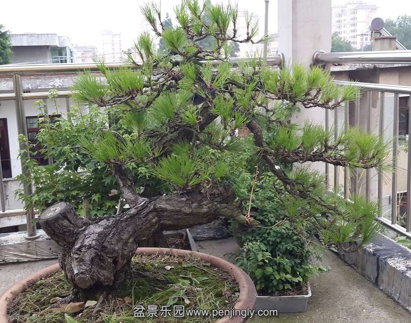 20140621_153516.jpg