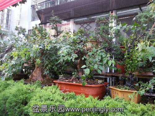 20150605_184900.jpg