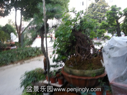 20150605_185836.jpg