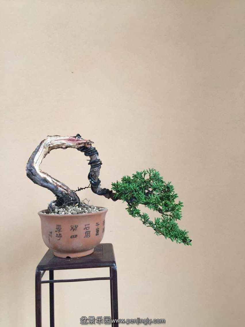 QQ图片20150607174114.jpg