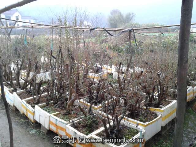 20141210_143659.jpg