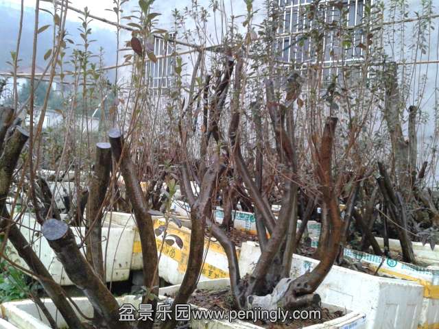 20141210_143722.jpg