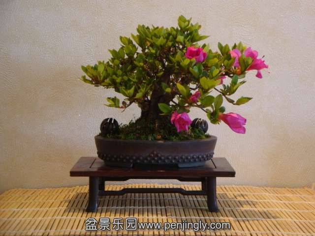 DSC01085.JPG