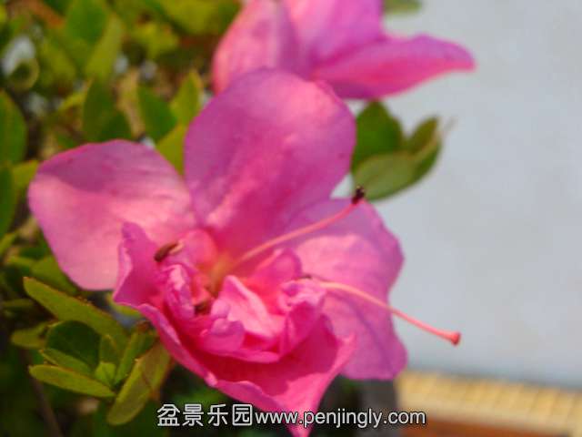 DSC01087.JPG