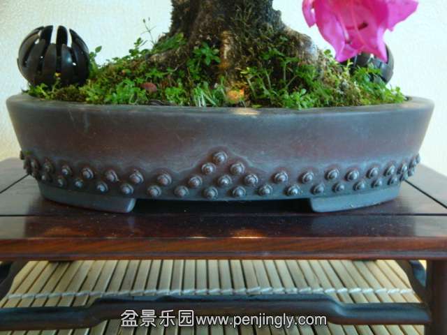 DSC01088.JPG