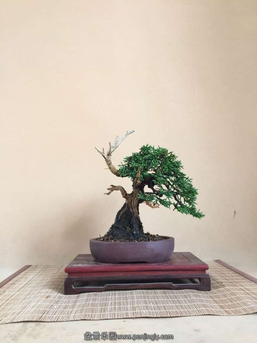 QQ图片20150610150514.jpg