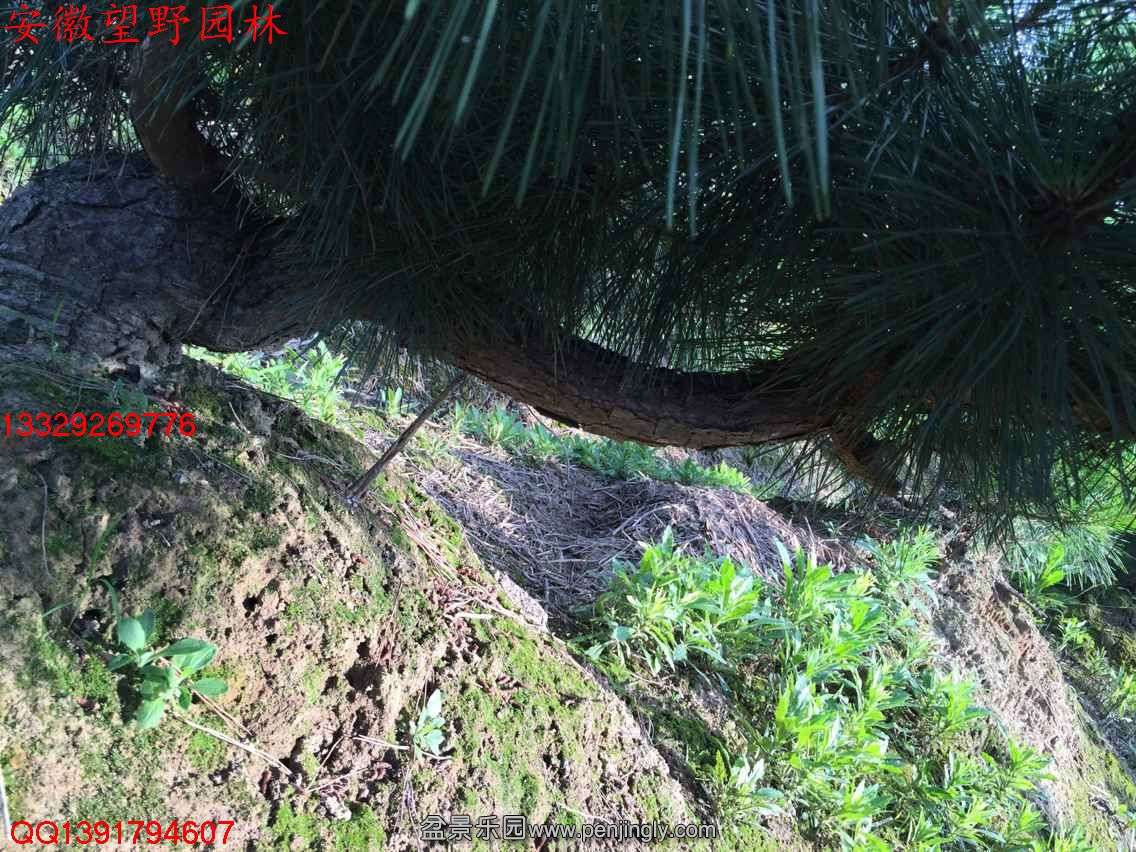 C2F48873EAB74A229520AAB052B11FA4.jpg