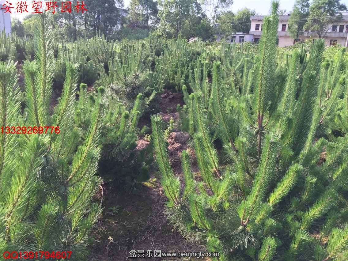 C240C0A3AF5501FE938138E8DC56C836.jpg