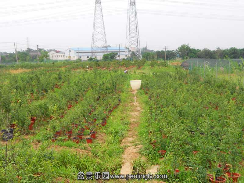DSCN2046_.jpg