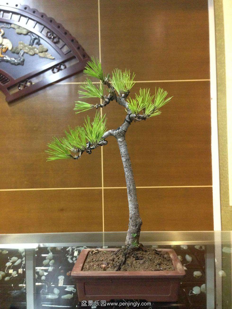 QQͼƬ20150614153650.jpg