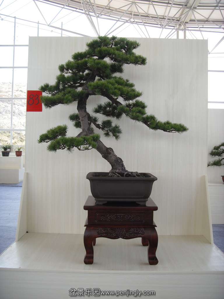 SDC14371.JPG