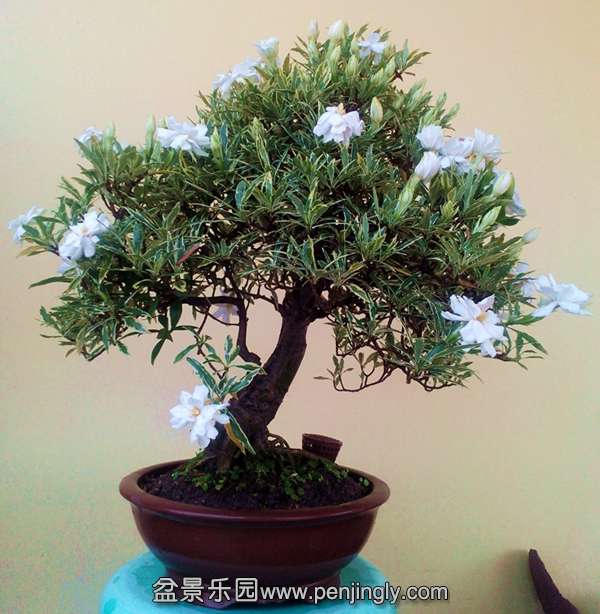 IMG_20150612_092216_副本.jpg