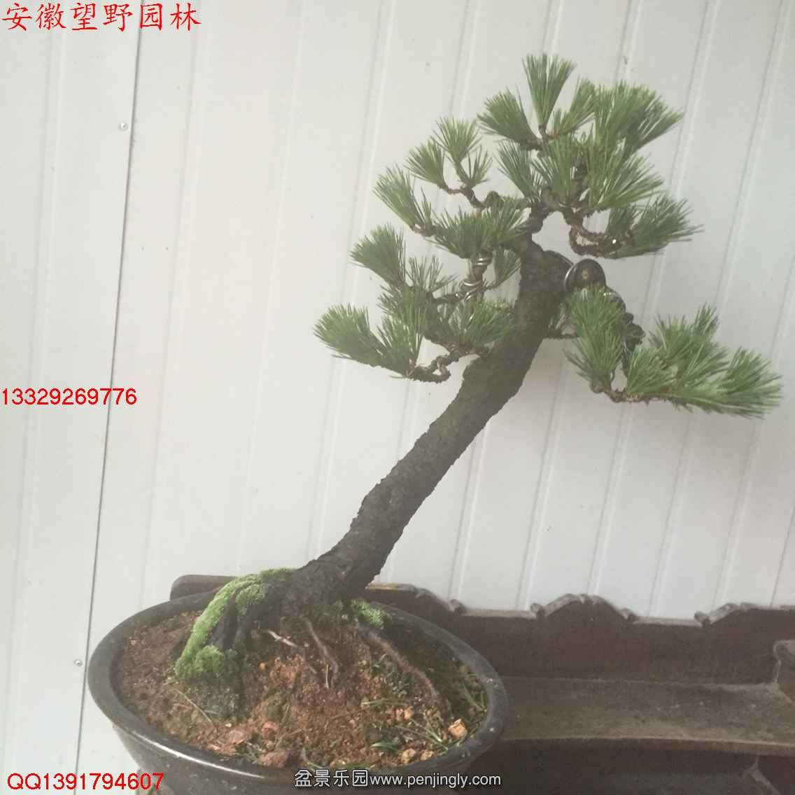 5E57C636004E93FE4D23E0BDBAD413AF.jpg