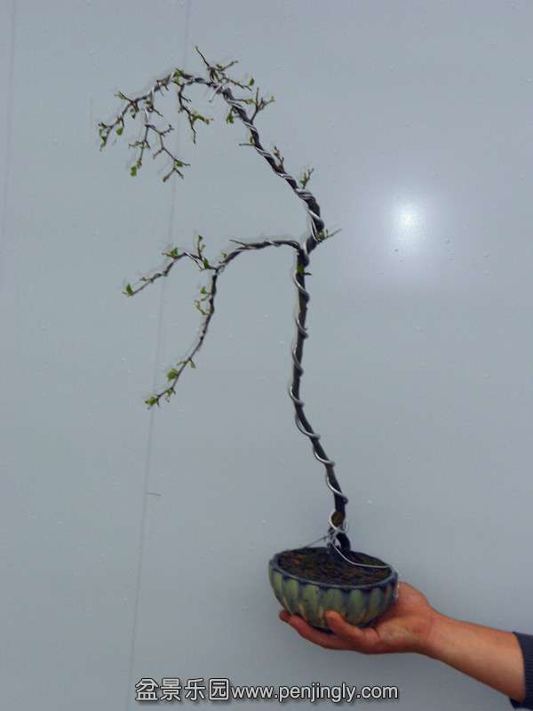 DSCN1792_.jpg