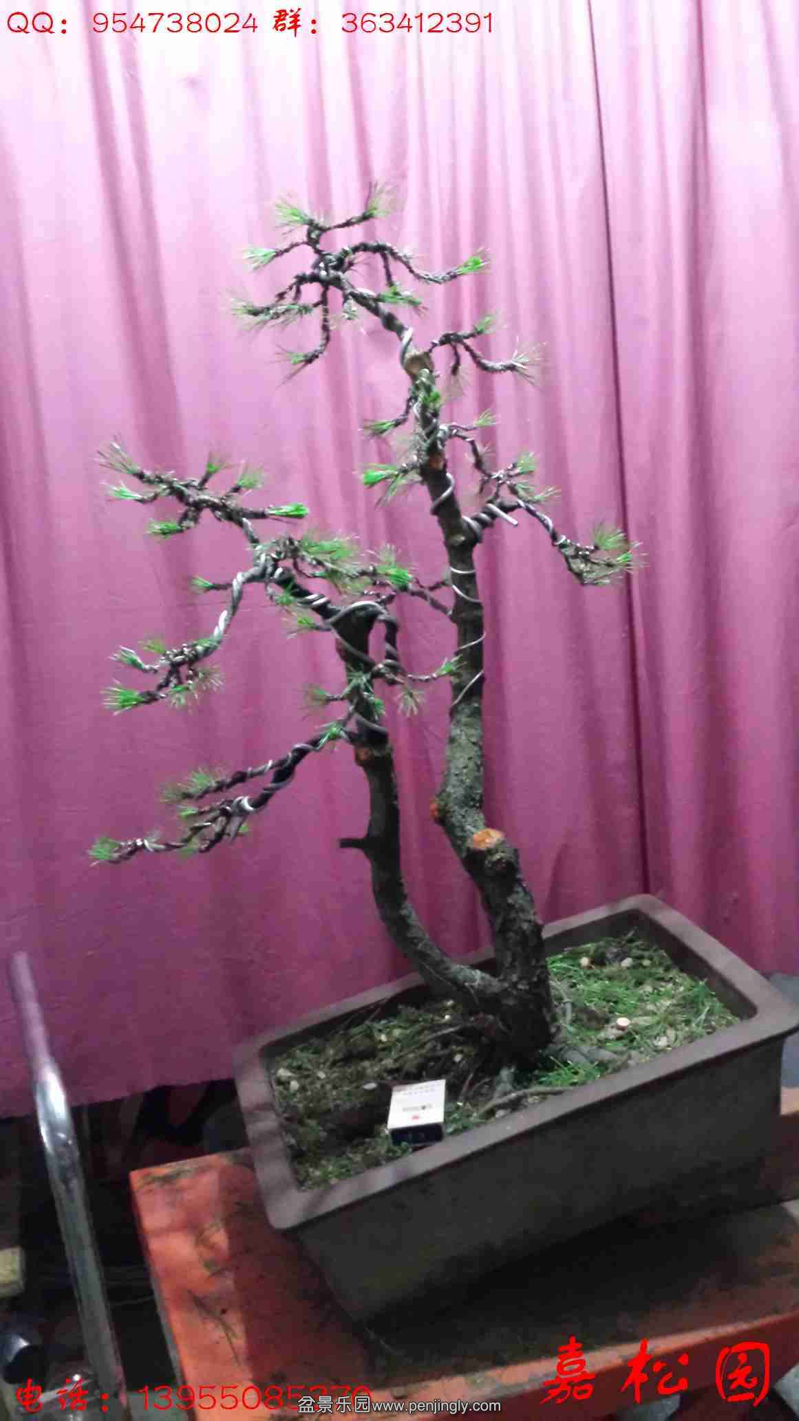 20150616_145608.jpg
