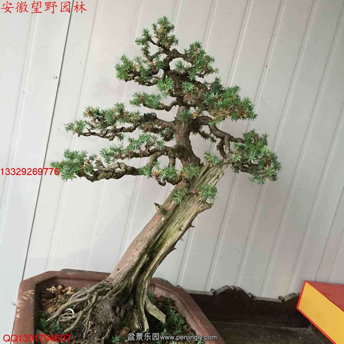 AC5A7ECC2832B00A3E83DF1418CB7DA2.jpg
