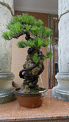 psb (4)_.jpg