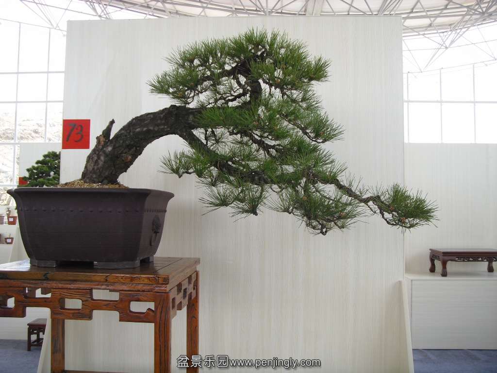 SDC14374.JPG