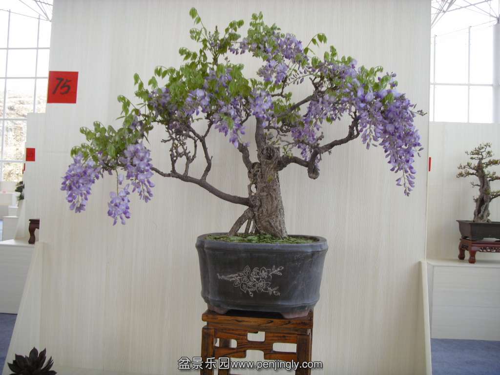 SDC14376.JPG