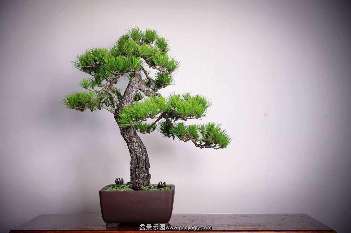 QQͼƬ20150619143709.jpg