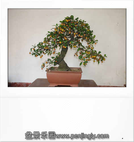 image_06.png