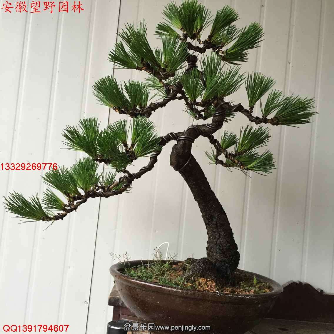 38191D7EBA71490054D8232DE22267CE.jpg