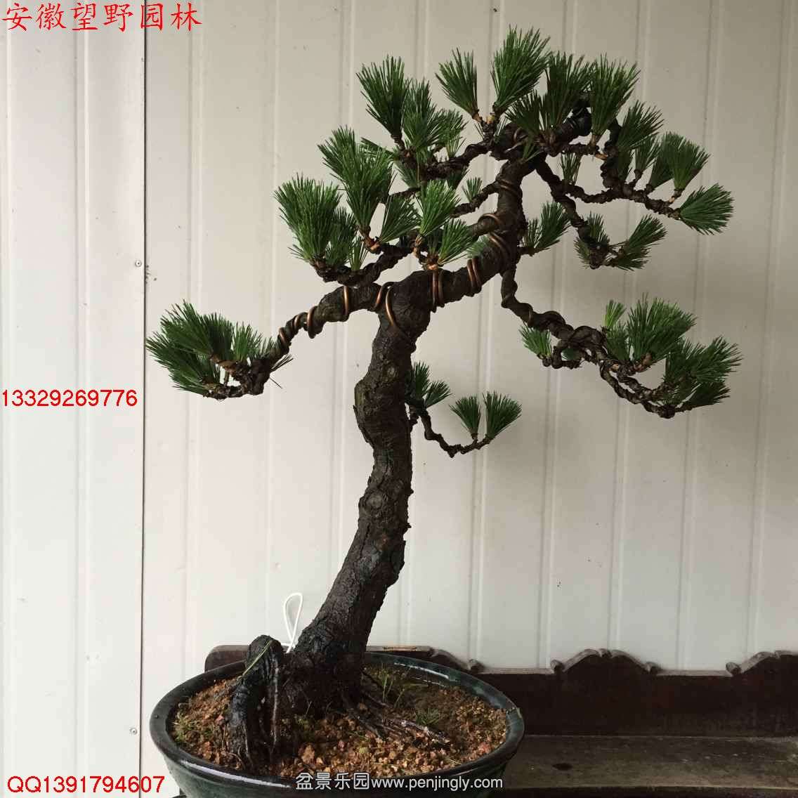 89108EBA9E91300EADC346B4E66A77A8.jpg