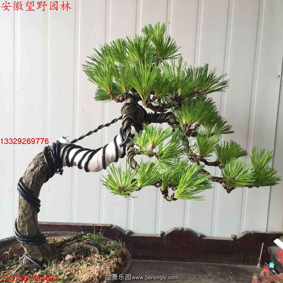 B5E265599C81A6332CFDDCF804E8C42D.jpg