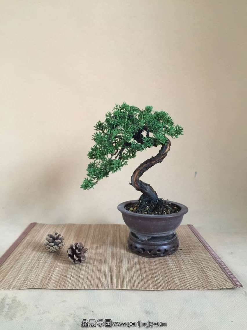 QQͼƬ20150627123744.jpg