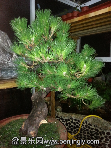 20150626_210641.jpg