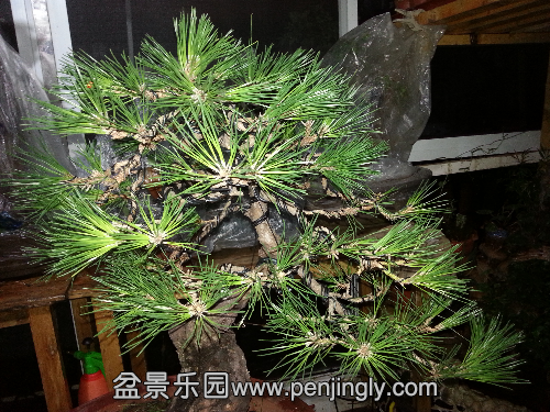 20150627_205837.jpg