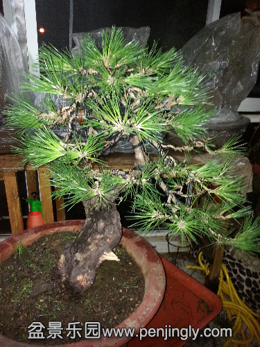 20150627_205414.jpg