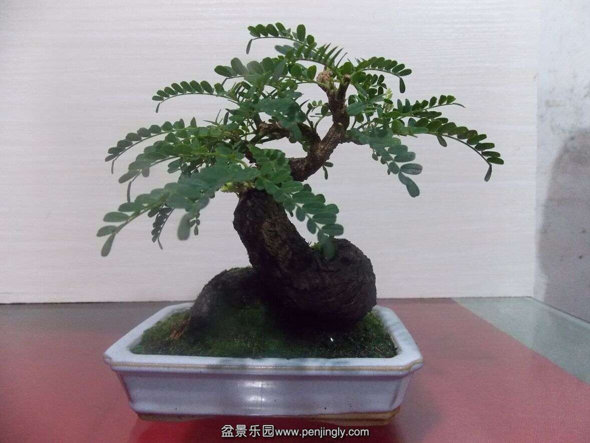 QQͼƬ20150630220219.jpg