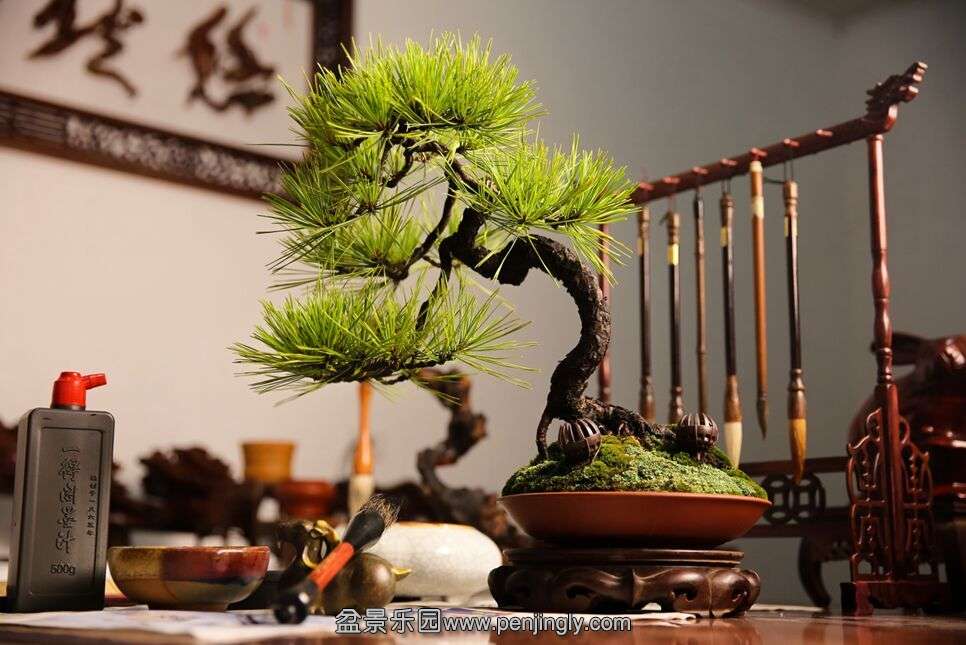 QQͼƬ20150701115213.jpg