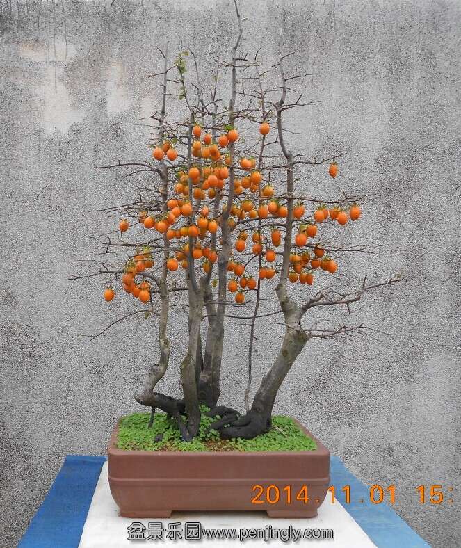 24ѻ׮3.png