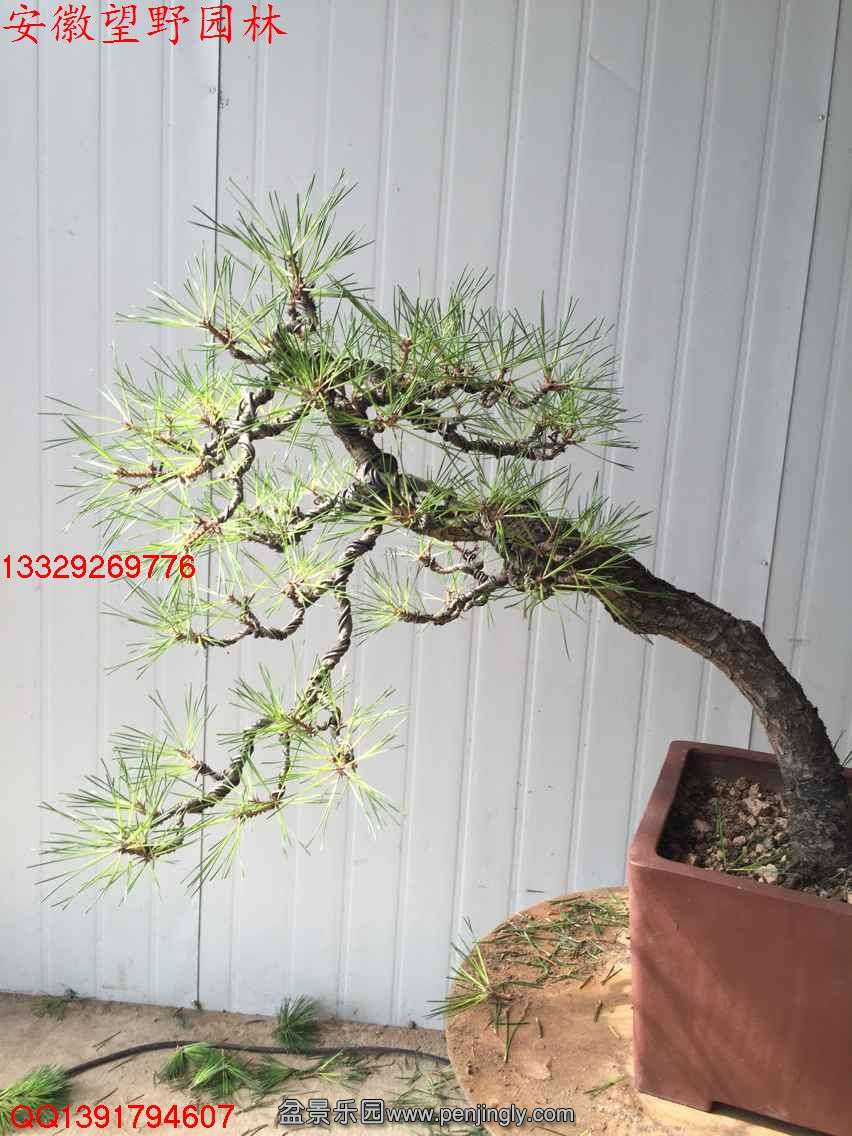 E2C97FA217AE91E10CDFE1674A7A5188.jpg
